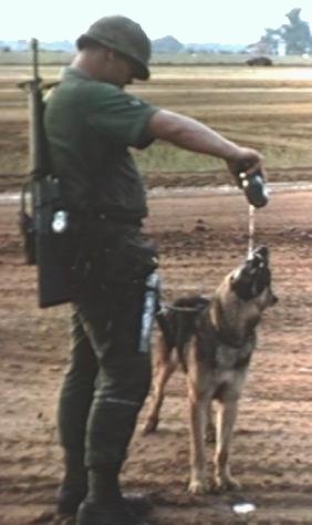 K-9 A2C Tom Baker