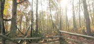 Gettysburg Memorial Park - Virtural 360° Tour 