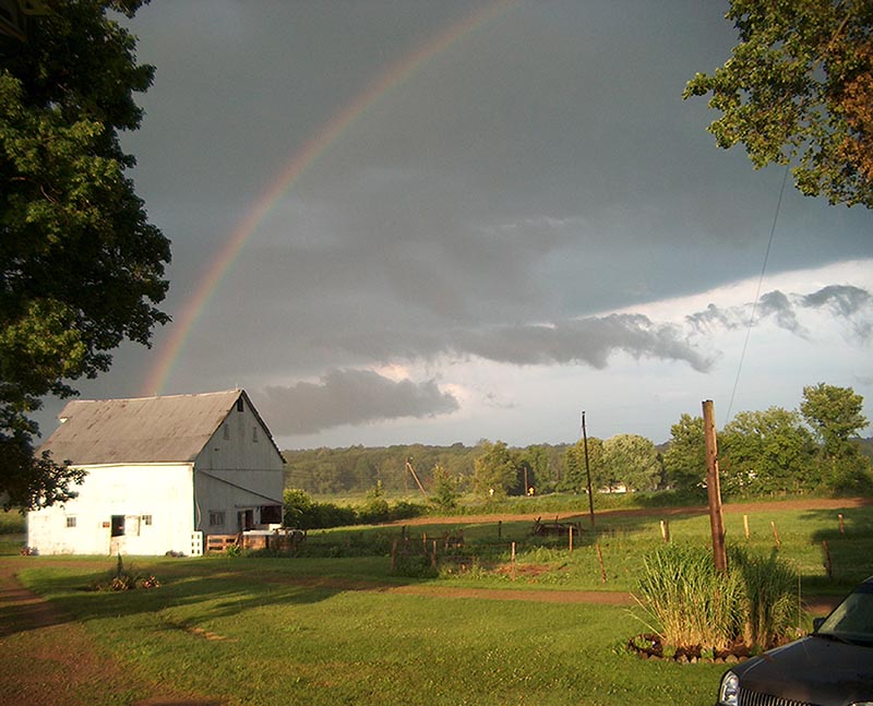 Pasture and hayfield pictures  from Best Of Both Farms, sheep and Wood