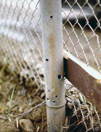 8. Da Nang AB, 366th TFW: Fence pole riddled with rocket shrapnel. 1969-1970. [Photo by Ed Burchard].