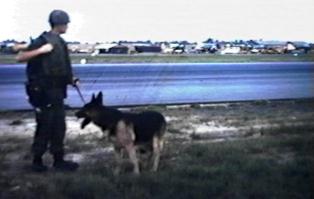 K-9 patrolling along Da Nang Runway