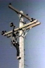 Cement Telephone Pole