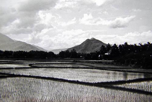Nha Trang, Rice Paddy, 1969