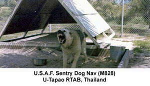 USAF Sentry Dog, Nav, m828, U-Tapao RTAFB, Thailand, 1967-1968