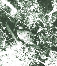 Casper 721, Crash site