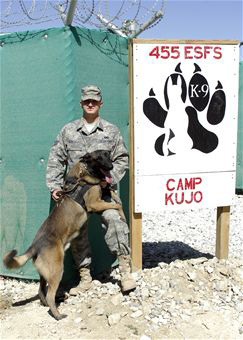 USAF 56th SFS, K-9 Cito, Military Working Dog. 2009.