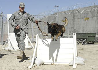 USAF 56th SFS, K-9 Mayo, Military Working Dog. 2009.