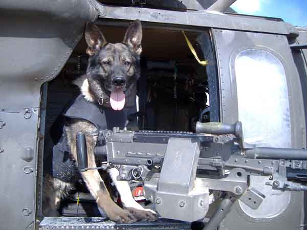 "Argo the door gunner" - at FOB Warrior Iraq, Argo F590.