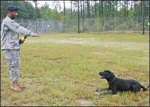 1. US Army Sgt 1st Class Donald T. Tabb, K-9, KIA, 5 Feb 2008, Sangain, Afghanistan. K-9 MWD BO, WIA, and retried with SSgt Tabb's brother.