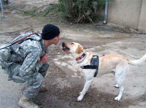 1. Army MWD Cooper, KIA 6 July 2007. 94th Mine Dog Det, 5th Engineer Bn, 1st Engineer Brigade.