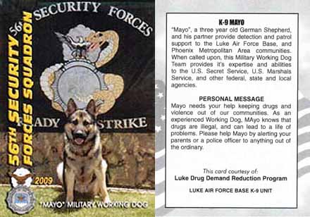 USAF 56th SFS, K-9 Mayo, Military Working Dog. 2009.